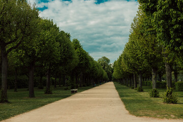 Beautiful yellow rapeseed field against the blue sky