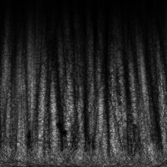 Impenetrable forest, digital painting, horror concept