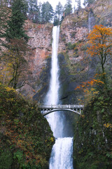 waterfall in the forest of Multnomah