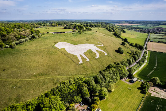 Aerial shot of the white chalk lion cut into a hill side on the North Downs near Dunstable
