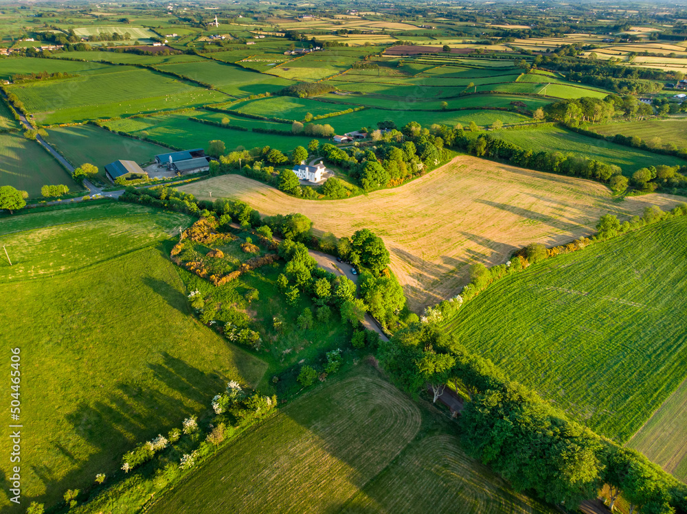 Wall mural Aerial view of endless lush pastures and farmlands of Ireland. Beautiful Irish countryside with emerald green fields and meadows.