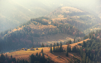 Autumn mountains covered with coniferous forest