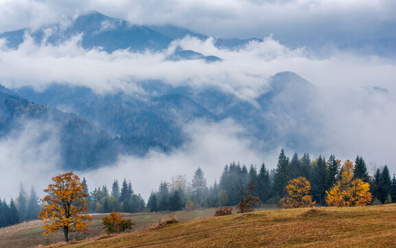 Autumn misty Carpathians