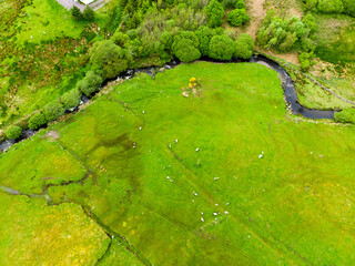 Beautidul landscape of the Killarney National Park on cloudy day.