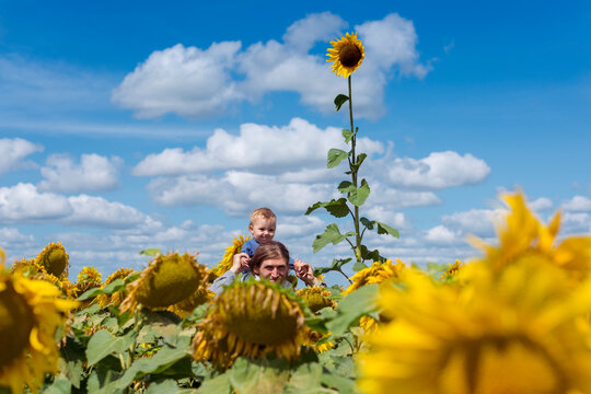 Father and son in sunflower field 