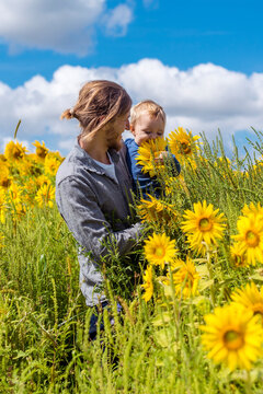 Father and son in sunflower field 
