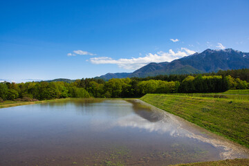 水田とアルプス