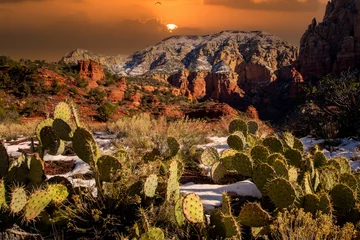 Rolgordijnen The red rocks with cactus in foreground near Sedona, Arizona afer a light snow fall. © Bob