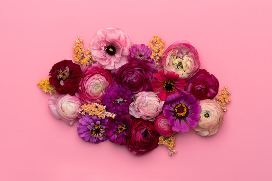 Layflat of Zinnias and Ranunculus