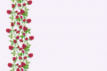 greeting card with flowers arranged in the side on a white background