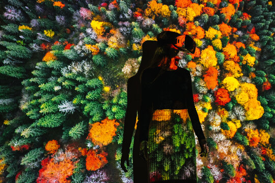 Model having virtual trip above pine forest 