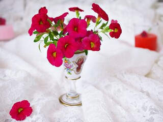 Red flowers in antique vase isolated on white background ,Calibrachoa petunia Million bells ,Trailing petunia ,Superbells ,seashore smaller flowers ,Solanaceae blooming in summer 