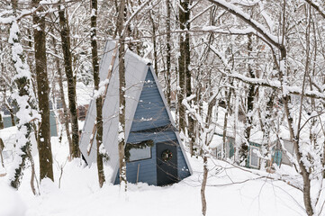 Wooden cabin surrounded by snowy bare trees