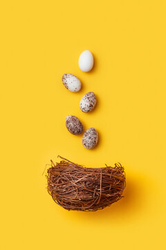 Small bird nest with quail eggs on yellow background