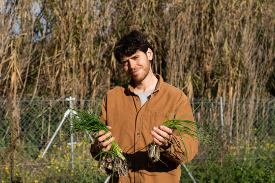 portrait of Young smiley man planting vegetable plants on garden 