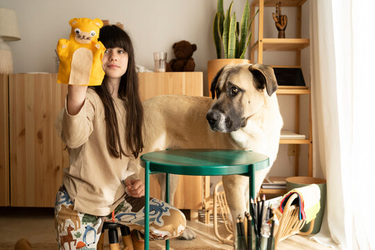 Girl with teddy bear puppet and dog at home