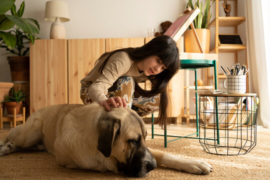 Nice girl caressing her big dog at home
