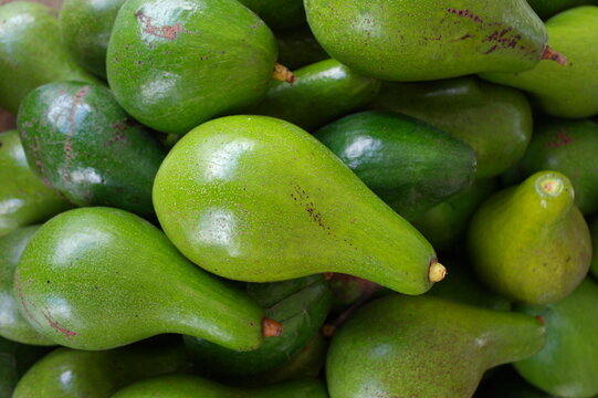 Aguacates o paltas, la fruta m&aacute;s deliciosa. Imagen capturada en un mercado popular de Caracas.