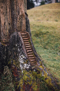 Fairy Door in Tree