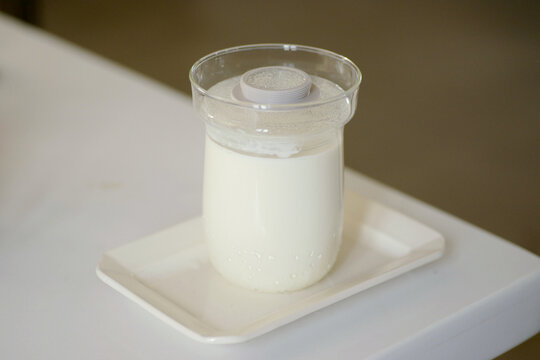 Closeup of home made yogurt