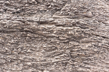 Old concrete wall. Ideal for textures and backgrounds.