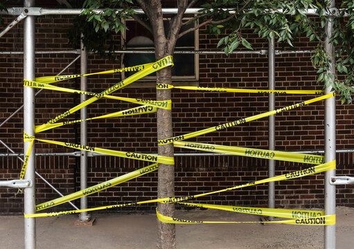 &ldquo;Caution&rdquo; tape wrapped around the tree