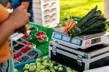 Woman Weighs Vegetables on Scale at Farmers Market