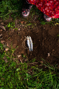 Two sardines on the ground and flowered children's shoes and jacket