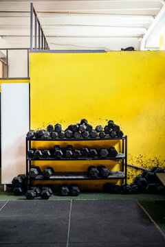 Modern gym with shelves with dumbbells