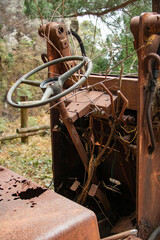 日本の石切り場跡　放置され赤錆で朽ち果てたブルドーザーの運転席に木が張っている