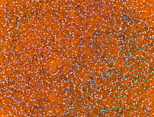 Intricate Digital Network. Information Geometry 