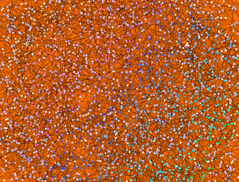 Intricate Digital Network. Information Geometry 