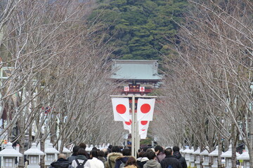 鎌倉の正月