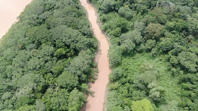 Aerial view of amazon basin rainforest in Peru/ Madre de dios / Manu National Park/ Tambopate