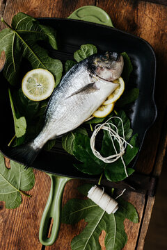 Fresh sea bream