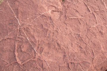 Fototapeta premium Red sandstone is a large stone used for landscaping, decorating the garden to look natural with man-made and many patterns on the surface.