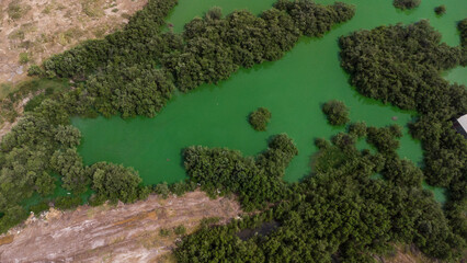 Aerial photos from a drone of a green lagoon surrounded by vegetation and bushes.