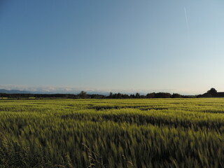 Sunset field countryside