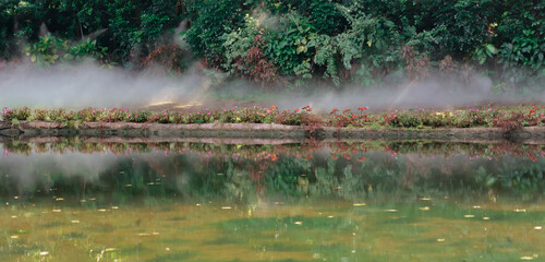 Dreamy fog and light on the lake