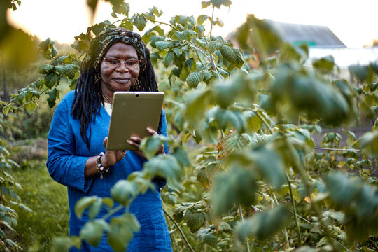 Elderly woman with a tablet in the garden