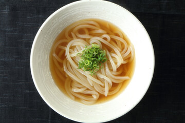 シンプルで美味しそうな日本のかけうどん