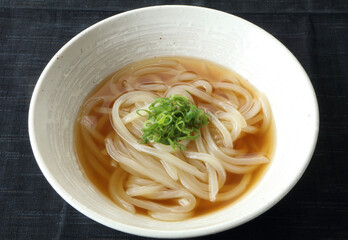 シンプルで美味しそうな日本のかけうどん