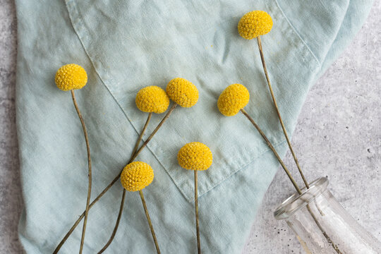 Yellow flowers on counter