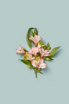 Floral artwork made of colorful alstroemeria