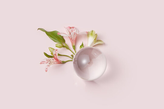 Glass ball with spring flowers on pink background