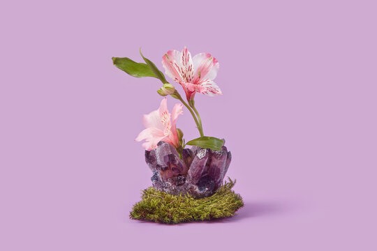 Creative artwork of moss, flowers and amethyst crystal