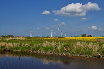 wind turbines, a blooming rape field and a canal in the district Wesermarsch, Germany