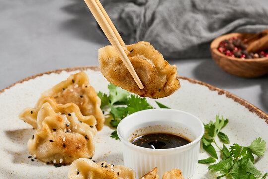 Oriental food - fried gyoza with sauce. Gyoza with pork in ceramic plate on gray concrete background.  Shrimp gyoza in minimal style. Aesthetic food menu.