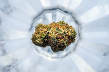 Single Marijuana Bud