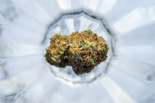 Single Marijuana Bud